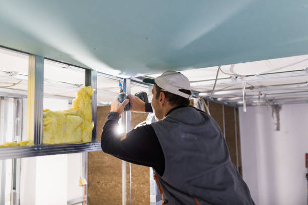 Best Insulation for New Construction  in Fairview Heights, IL