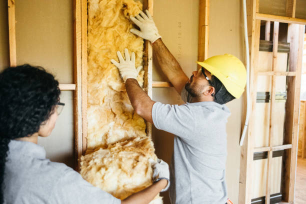 Best Radiant Barrier Insulation  in Fairview Heights, IL